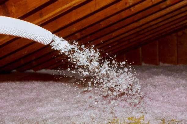 Professional Insulation Contractor in Burlington, KY