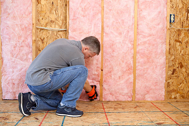 Best Geographic-Specific Insulation Services in Burlington, KY